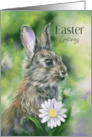 Easter Greetings Brown Bunny with Daisies Pastel Art card