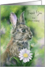 Thank You for Anything Brown Bunny with Daisies Custom card