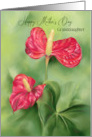 For Granddaughter on Mothers Day Red Anthurium Flowers Custom card