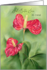 Feel Better Soon My Friend Red Anthurium Flowers Custom card