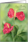 For Goddaughter Birthday Red Anthurium Flowers Custom card