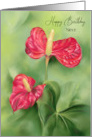 For Niece Birthday Red Anthurium Flowers Custom card
