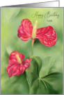 For Aunt Birthday Red Anthurium Flowers Custom card
