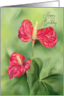 Happy Birthday Red Anthurium Flowers Pastel Art card
