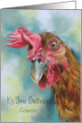 For Cousin Birthday Funny Red Chicken Custom card