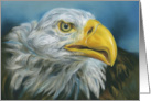 Any Occasion Bald Eagle Pastel Bird Artwork Blank card