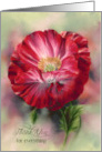 Thank You for Everything Red Poppy Flower Art Custom card