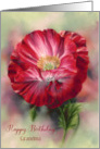 For Grandmother Birthday Red Poppy Flower Custom card