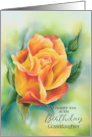 For Granddaughter Birthday Wish Colorful Rose Art Custom card