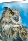 Any Occasion Majestic Owl Art Blank card