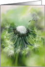 Any Occasion Dandelion Wishes Pastel Art Blank card