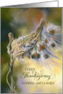For Grandparents Thanksgiving Autumn Milkweed Seeds Custom card