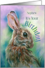 For Nephew Birthday Brown Rabbit in Grass Custom card