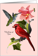 Cardinal and Hummingbird with Pink Lily and Ivy Thinking of You card