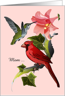 Mother’s Day Cardinal and Hummingbird with Pink Lily and Ivy card
