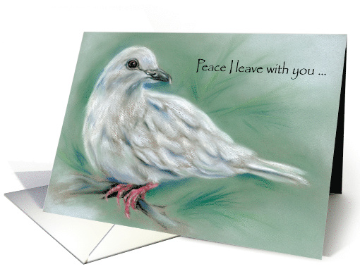 White Dove Pastel Art Christian Peace card (1489116)