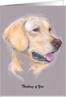 Thinking of You Custom Yellow Labrador Portrait card