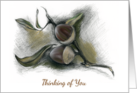 Autumn Acorns Thinking of You card