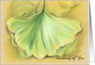 Ginkgo Autumn Thinking of You Pastel Art card