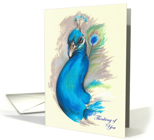Peacock Pastel Art Thinking of You card (1490910)