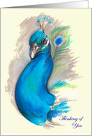 Peacock Pastel Art Thinking of You card