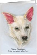 Pet Loss Sympathy Carolina Dog Pastel card