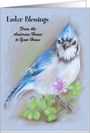 Custom Easter From Our Home Blue Jay with Spring Flowers Pastel Art card