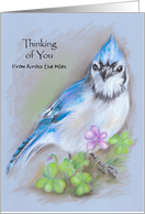 Blue Jay with Spring Flowers Pastel Thinking of You card