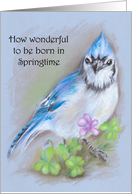 Springtime Birthday Blue Jay and Flowers Pastel Art card