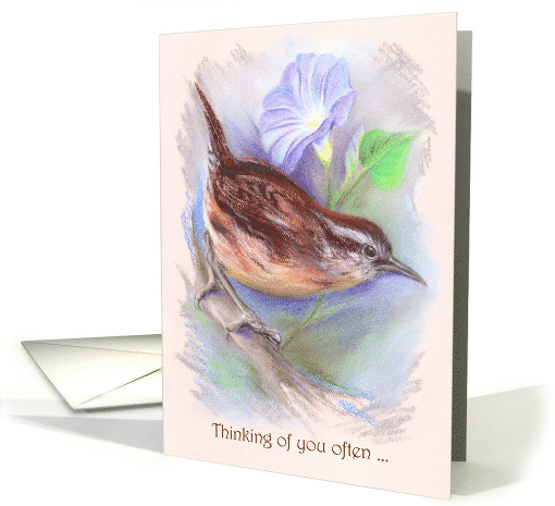 Carolina Wren with Morning Glory Pastel Thinking of You card (1491754)