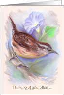 Carolina Wren with Morning Glory Pastel Thinking of You card