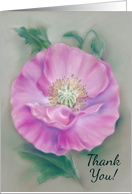 Thank You for the Flowers Pink Poppy Pastel Art card