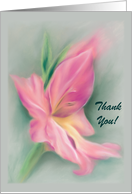 Thank You for the Flowers Pink Gladiolus Pastel Artwork card