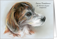 Custom Sympathy for Loss of Pet Brindle Dog Portrait Pastel card