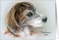 Thinking of You Brindle Dog Portrait Pastel Art card