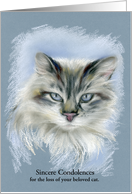 Custom Sympathy for Loss of Pet Cat Longhaired Gray Feline Pastel Art card