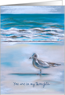Custom Thinking of You Seagull on the Sandy Sea Shore Pastel Art card