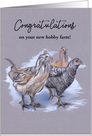 Custom Congratulations on Your Hobby Farm Flock of Chickens Pastel card