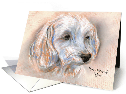 Custom Thinking of You Maltipoo Small White Dog Pastel Portrait card