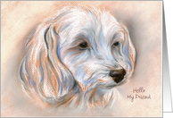 Custom Hello Maltipoo Small White Dog Portrait Pastel Art card