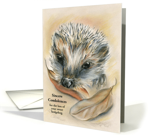 Custom Condolences for Loss of Pet Hedgehog Pastel Art card (1501436)