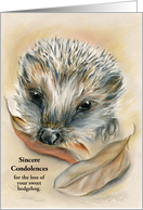 Custom Condolences for Loss of Pet Hedgehog Pastel Art card