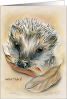 Custom Hello There Cute Autumn Hedgehog Pastel card