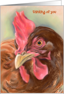 Custom Thinking of You Red Hen Pastel Chicken Portrait card