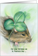 Birthday on St. Patricks Day Hamster and Shamrock Pastel card