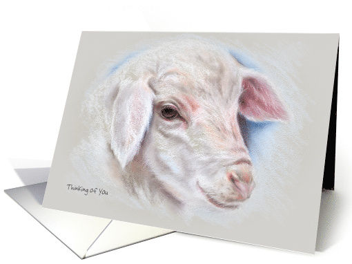 Custom Thinking of You Little Lamb Pastel Art card (1506540)
