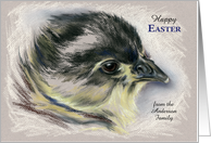 Custom Name Easter Australorp Chick Pastel Art Anderson card