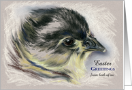 Custom From Both of Us Easter Greetings Chick Pastel Art card