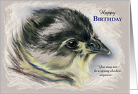 Custom Birthday Australorp Chick Pastel Art card