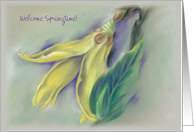 Custom Springtime Forsythia Flower Pastel Art card